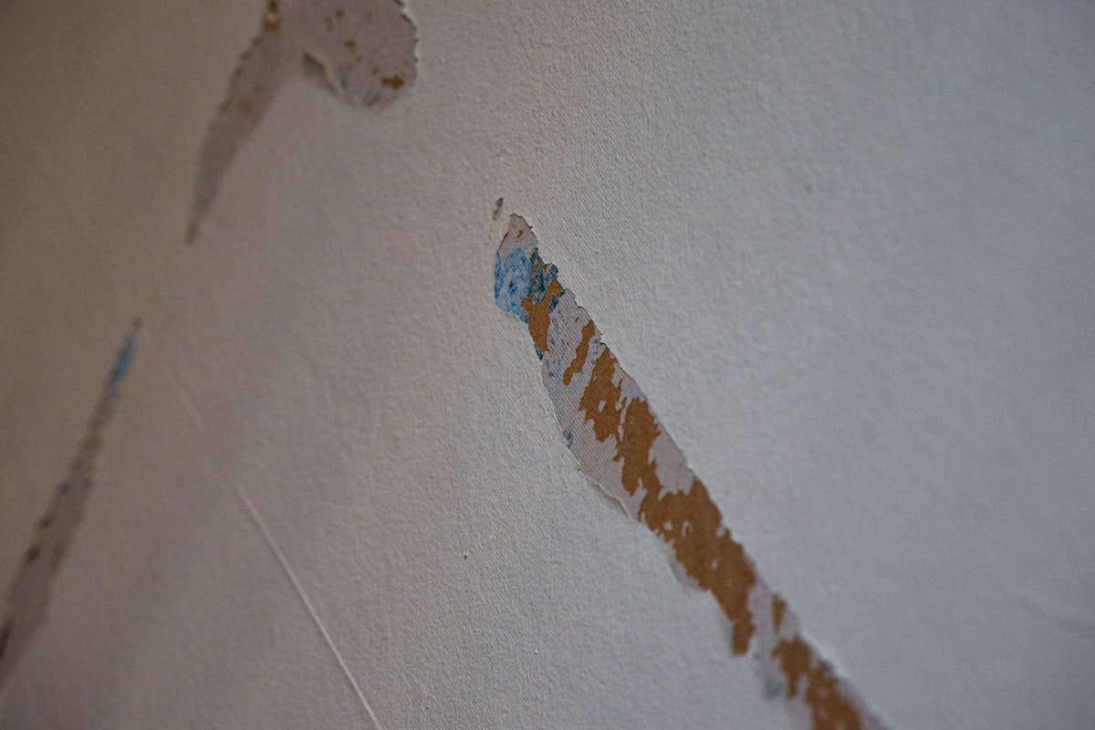 Structural Drying service in Chicago, IL